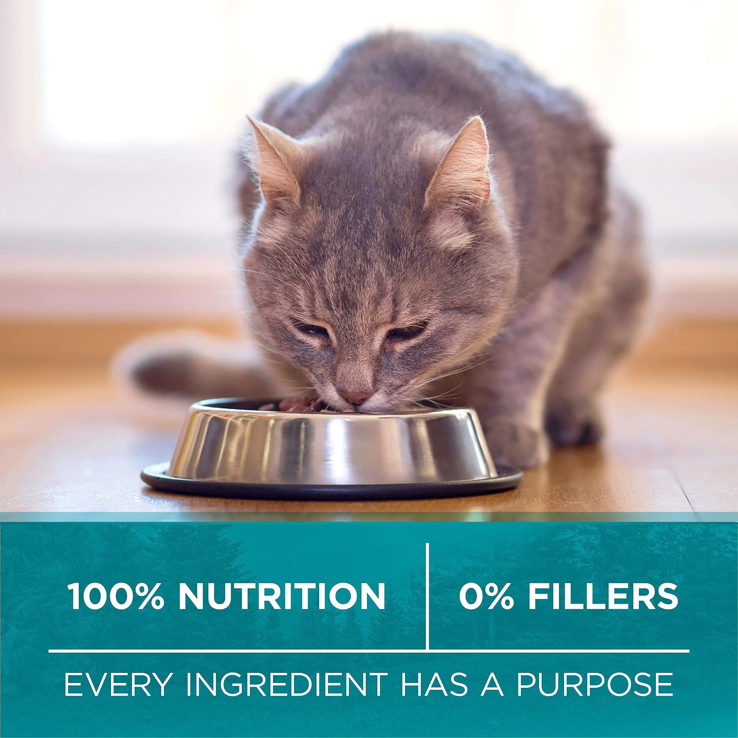 Purina ONE True Instinct Grain Free Dry Cat Food, High Protein Chicken - 6.53 kg Bag 🍁 All In One Marketplace Canada