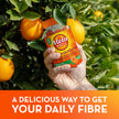 Metamucil Fibre Gummies, No Sugar Added, Daily Supplement, Prebiotic Plant-Based Fibre Blend, Orange Flavour, 72 Gummies 🍁 All In One Marketplace Canada
