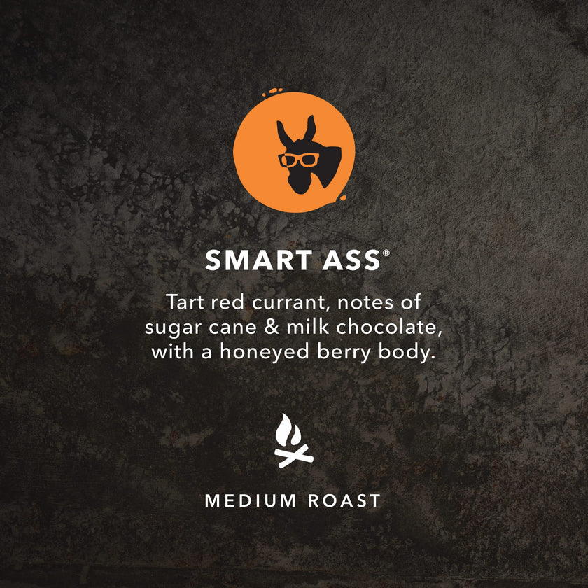 Kicking Horse Coffee - Smart Ass Blend, Whole Bean 100% Arabica Coffee | Medium Roast | All Organic & Fairtrade | 850 g 🍁 All In One Marketplace Canada
