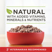 Purina ONE True Instinct Wet Dog Food, Ground Turkey & Venison (12 Pack) 🍁 All In One Marketplace Canada