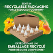 Air Wick Plug In Scented Oil Air Freshener Refills for Home – Infused with Essential Oils – 10 Count – Hawaii Tropical Paradise Scent – Mega Value Pack 🍁 All In One Marketplace Canada