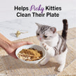 Stella & Chewy's Freeze-Dried Raw Cage-Free Chicken Recipe Marie's Magical Dinner Dust for Cats, 198g Bag 🍁 All In One Marketplace Canada