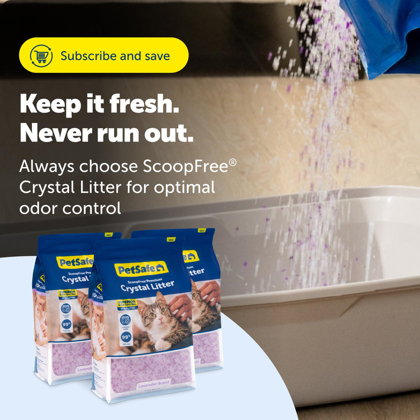 PetSafe ScoopFree Premium Lavender Crystal Cat Litter, 3-Pack – Lightly Scented Litter – Superior Odor Control – Low Tracking for Less Mess – Lasts Up to 6 Months, 24 lb Total (3 Pack of 8 lb Bags) 🍁 All In One Marketplace Canada