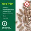 Organika Canadian-Made Korean Red Ginseng - 6 Year Old Roots, Energy Support, Stress Support, Warming Effect- 200caps 🍁 All In One Marketplace Canada