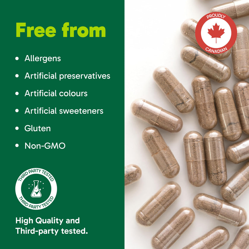 Organika Canadian-Made Korean Red Ginseng - 6 Year Old Roots, Energy Support, Stress Support, Warming Effect- 200caps 🍁 All In One Marketplace Canada