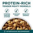 Purina ONE +Plus Large Breed Dry Puppy Food with Chicken - 14 kg Bag 🍁 All In One Marketplace Canada