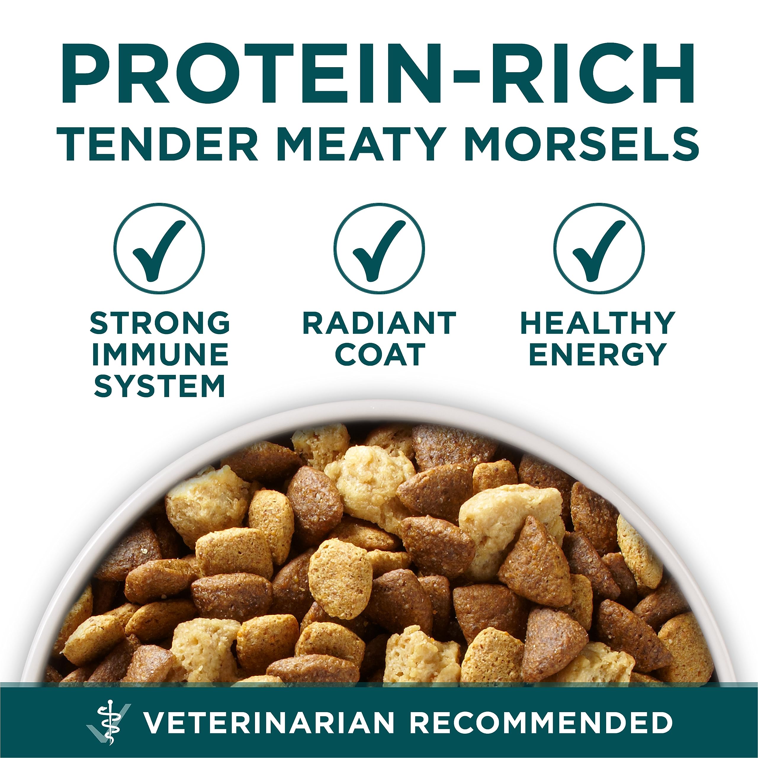 Purina ONE +Plus Large Breed Dry Puppy Food with Chicken - 14 kg Bag 🍁 All In One Marketplace Canada