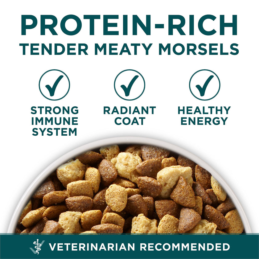 Purina ONE +Plus Large Breed Dry Puppy Food with Chicken - 14 kg Bag 🍁 All In One Marketplace Canada