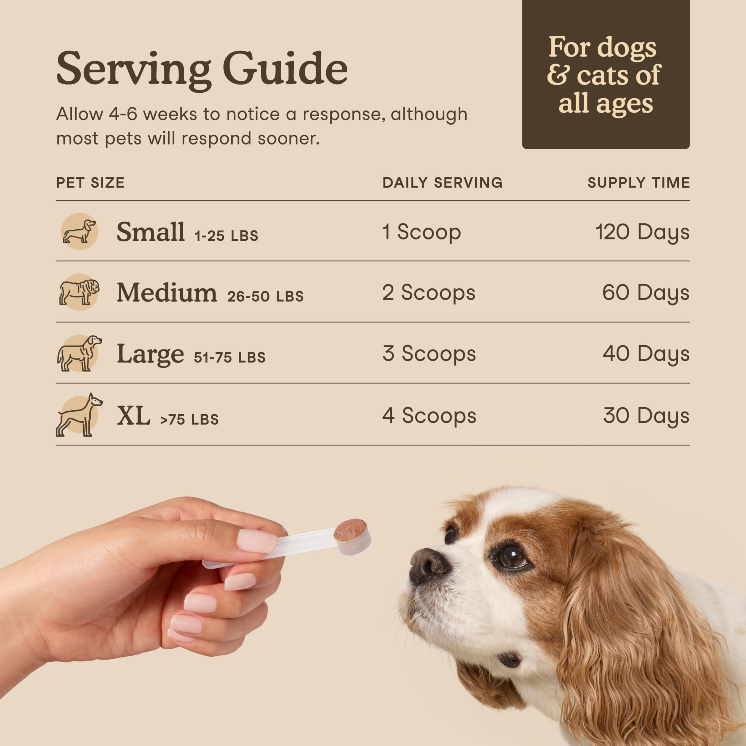 Fera Pets Turkey Tail Mushroom for Dogs & Cats - USDA Organic Supplement - Cognitive and Immune Support - Enhances Liver Function - Supports a Healthy Gut - Powder - 120 Scoops 🍁 All In One Marketplace Canada