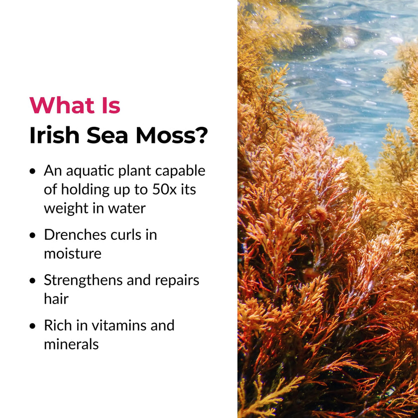 Love Ur Curls Irish Sea Moss Hair Gel, Medium Hold Hair Styling Curling Gel for Defined Curly Hair, Waves & Coils, Vegan, Cruelty Free, 236mL 🍁 All In One Marketplace Canada