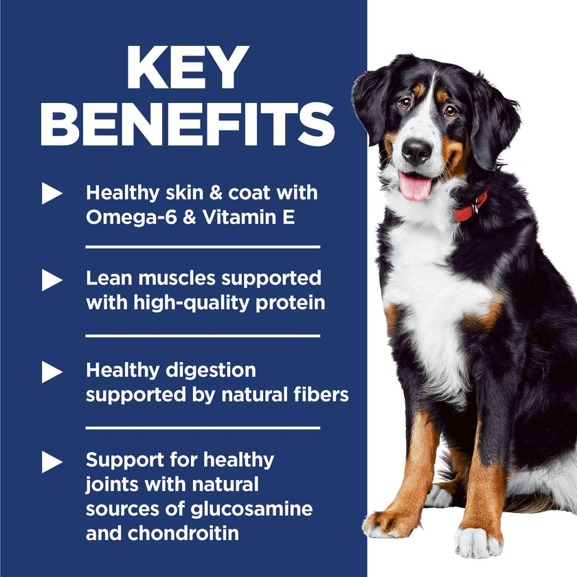 Hill's Science Diet Adult Large Breed Lamb Meal & Brown Rice Recipe Dry Dog Food 14.9 kg Bag 🍁 All In One Marketplace Canada