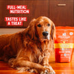 Stella & Chewy’s Freeze Dried Raw Dinner Patties – Grain Free Dog Food, Protein Rich Chewy’s Chicken Recipe – 708g Bag 🍁 All In One Marketplace Canada