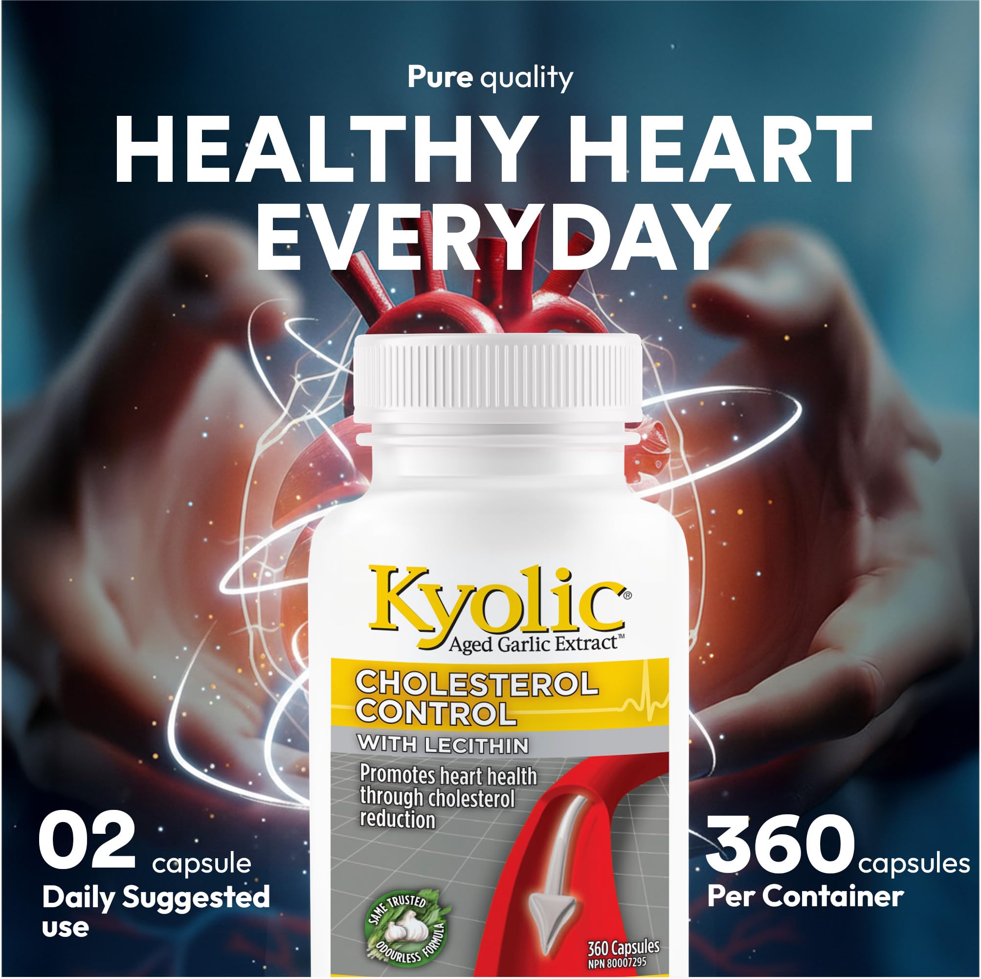 Kyolic Formula 104 Aged Garlic Extract, Odourless Garlic, 360 Capsules 🍁 All In One Marketplace Canada