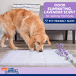 Hartz Home Pro Odor Eliminating Dog Pads, 50-Count 🍁 All In One Marketplace Canada