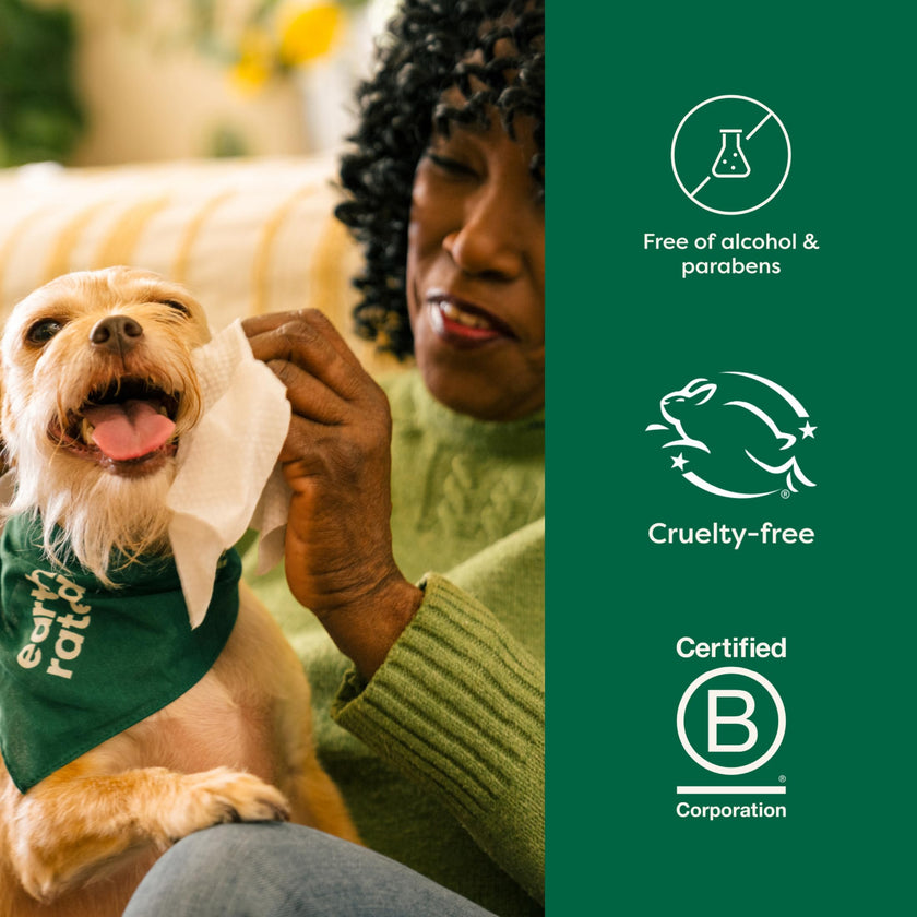 Earth Rated (A Canadian Company) Pet Wipes for Dogs and Cats, Hypoallergenic, Cleaning and Hydrating, for Grooming Paws, Body and Butt, Unscented, 400 Count 🍁 All In One Marketplace Canada