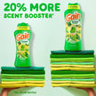 Gain In-Wash Laundry Scent Booster, Original Scent, Fresh Extender + Odor Protection, 853 Grams 🍁 All In One Marketplace Canada