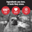PureSnacks Chicken Single Ingredient Freeze Dried Dog Treats, 261 g 🍁 All In One Marketplace Canada