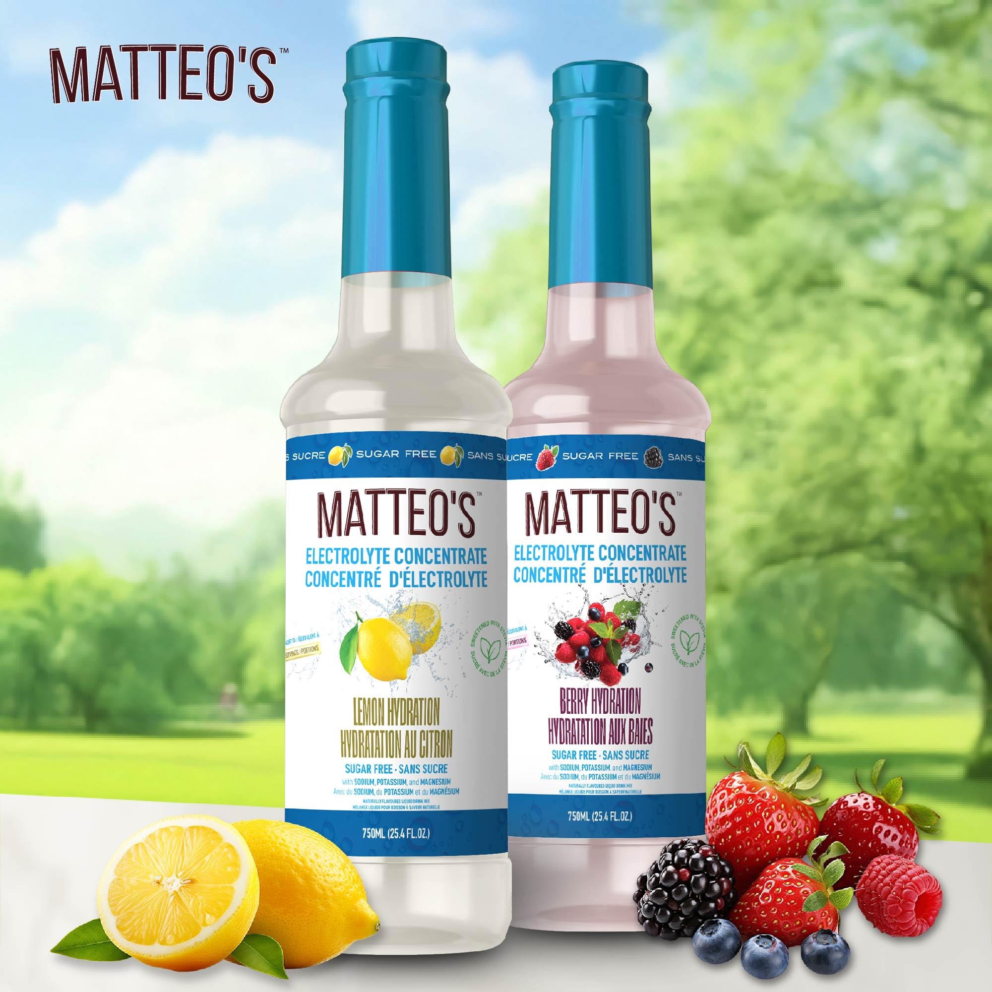 Matteo's Sugar-Free Hydration Concentrate - Electrolyte Drink for Quick Rehydration & Endurance, Ideal for Workouts, Travel, Heat & Sun, Delicious with Vitamins & Nutrients, Berry & Lemon Flavor, 750ml 2-Pack 🍁 All In One Marketplace Canada