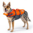 Outward Hound Granby Splash Orange Dog Life Jacket, Medium 🍁 All In One Marketplace Canada