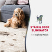 Nature's Miracle Advanced Stain & Odor Remover - 128Oz Pour 🍁 All In One Marketplace Canada