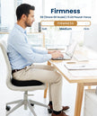 Everlasting Comfort Doctor Recommended Memory Foam Seat Cushion for Office Chairs & Car - Ergonomic Office Desk Accessories - Cushions for Tailbone Pain Relief, Sciatica (Black, Large) 🍁 All In One Marketplace Canada