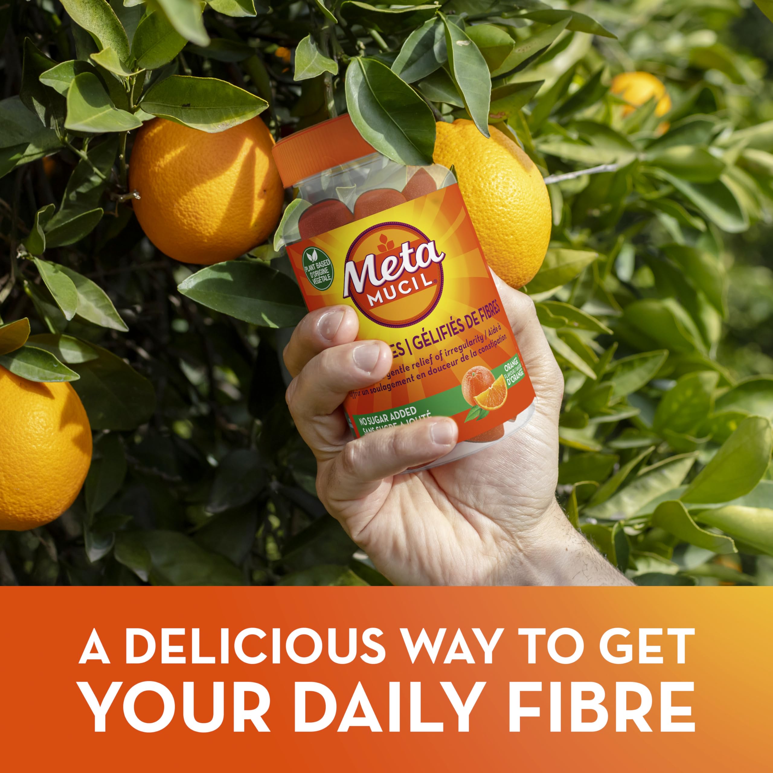 Metamucil Fibre Gummies, No Sugar Added, Orange Flavour, Prebiotic, Plant-Based, 105 Count 🍁 All In One Marketplace Canada