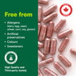 Organika Beetroot Organic- 1400mg High Potency Antioxidant, Blood-Pressure Support, Nitrous Oxide + Exercise Performance- 120vcaps 🍁 All In One Marketplace Canada