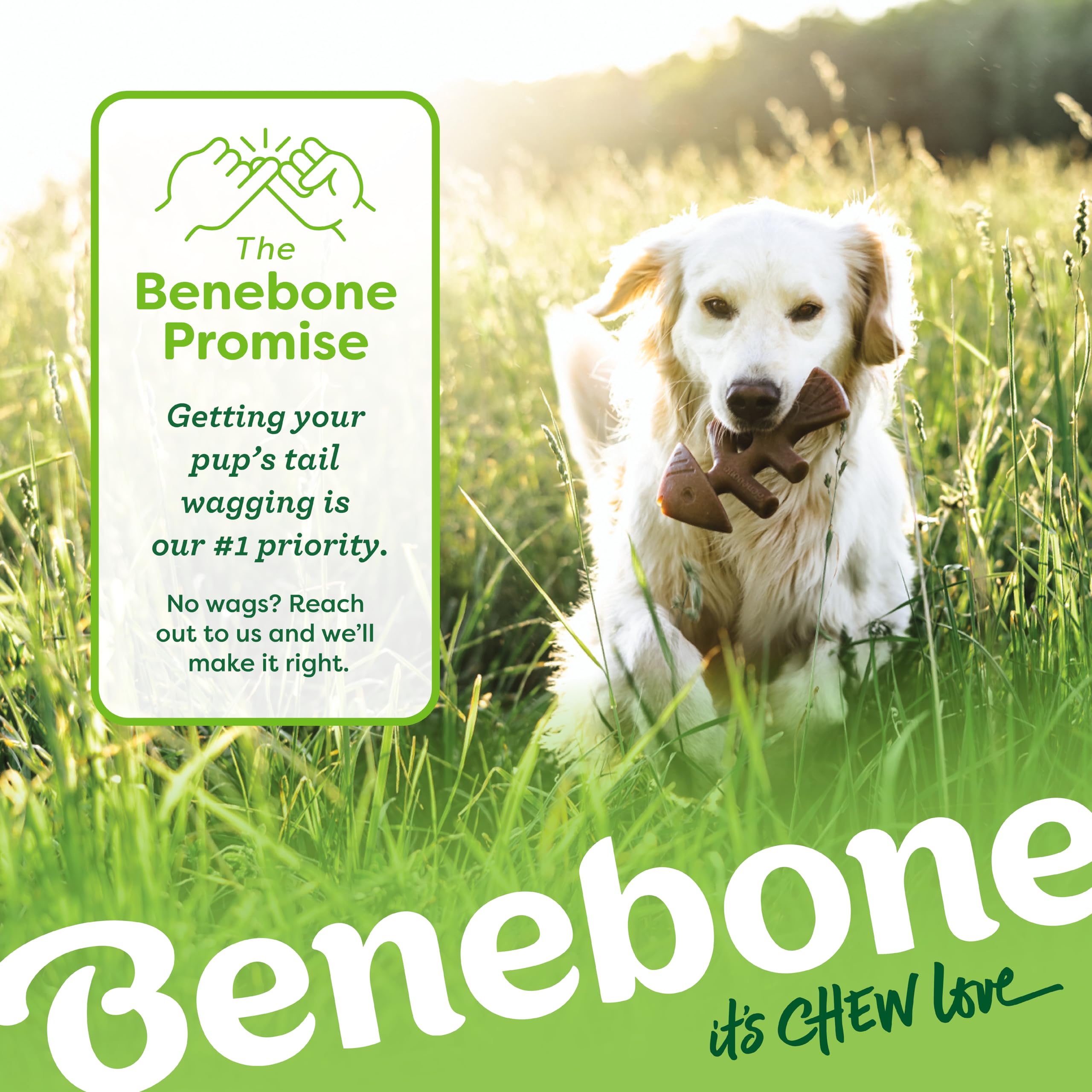 Benebone Small 4-Pack Dog Toys for Aggressive Chewers – Under 30 lbs 🍁 All In One Marketplace Canada