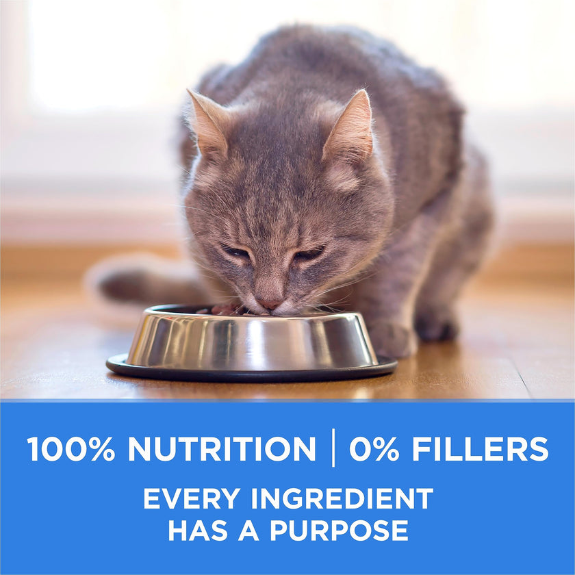 Purina ONE +Plus Dry Cat Food, Urinary Tract Formula Chicken - 3 kg Bag 🍁 All In One Marketplace Canada