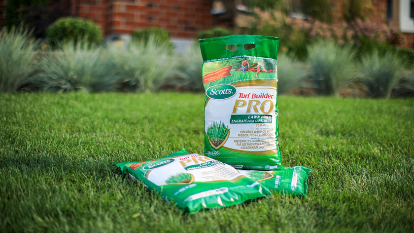 Scotts Turf Builder Pro Lawn Food 32-0-4 5.2kg (400m² Coverage), Lawn Fertilizer 🍁 All In One Marketplace Canada