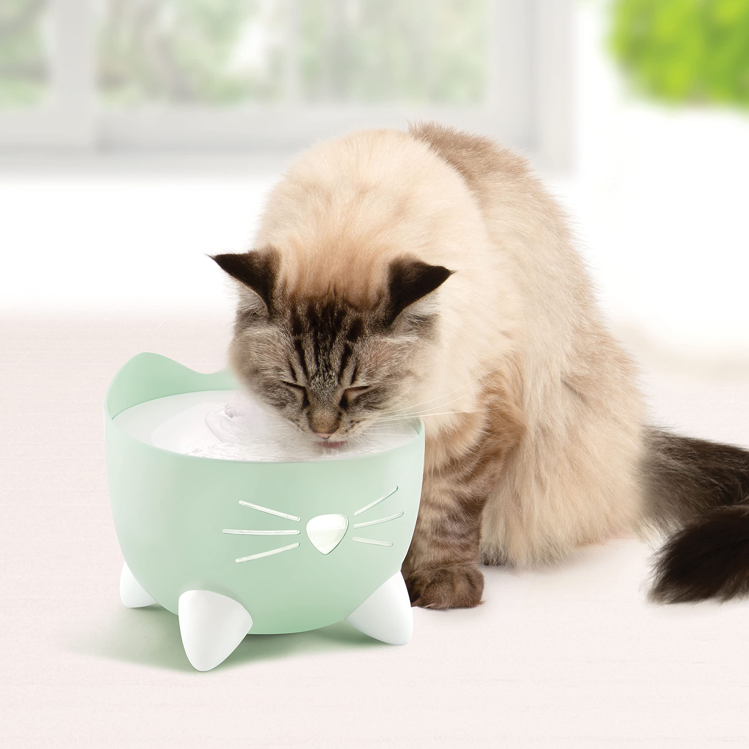 Catit PIXI Cat Water Fountain, 2.5 L, Mint Green, Modern Cat Fountain, Silent Pump for Indoor Cats, Different Flow Settings, Fontaine Pour Chat, Pet Water Fountains 🍁 All In One Marketplace Canada