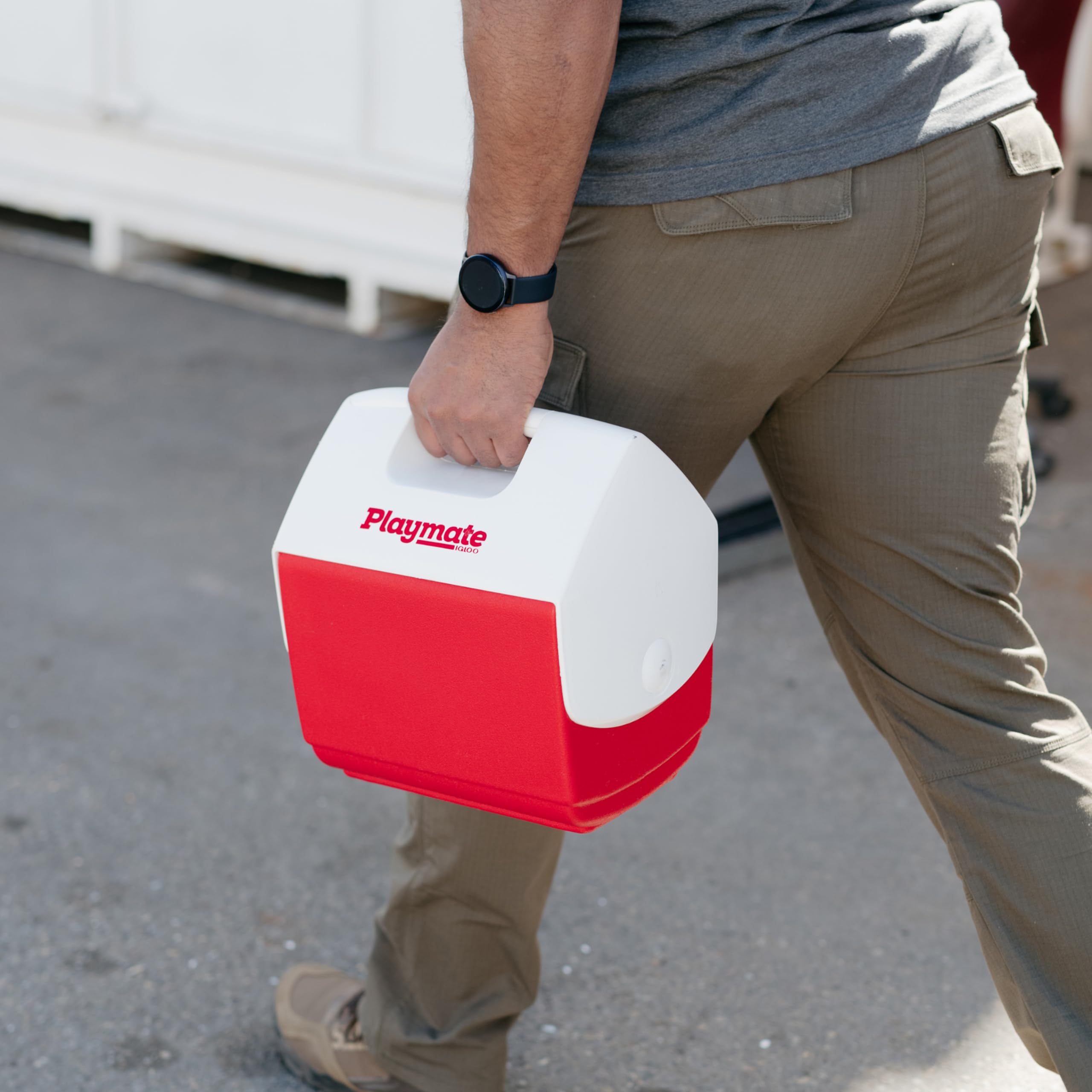 Igloo 7362 11.75 x 8.25 x 12-Inch Playmate PalPersonal Sized Cooler, 7-Quart (Red/White) 🍁 All In One Marketplace Canada