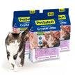 PetSafe ScoopFree Premium Lavender Crystal Cat Litter, 3-Pack – Lightly Scented Litter – Superior Odor Control – Low Tracking for Less Mess – Lasts Up to 6 Months, 24 lb Total (3 Pack of 8 lb Bags) 🍁 All In One Marketplace Canada