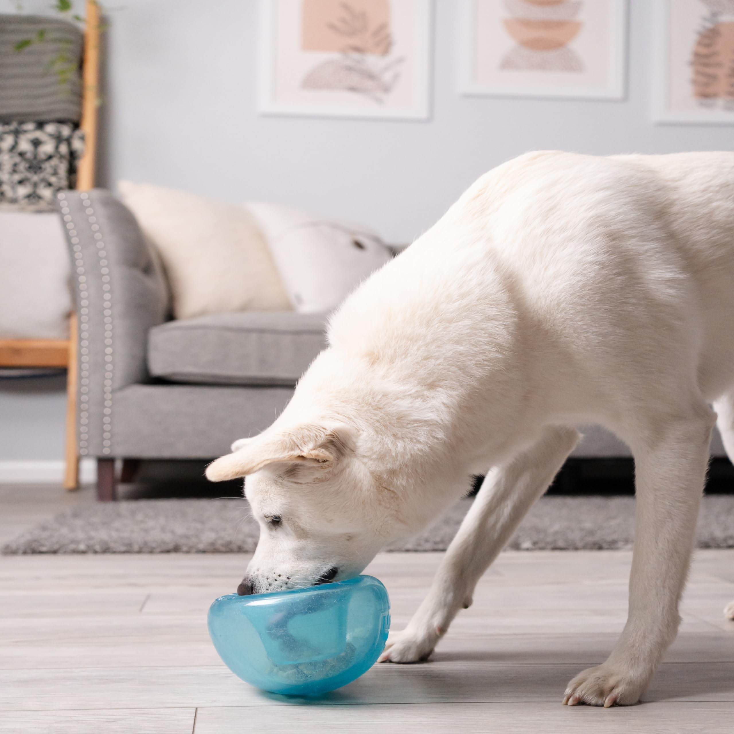 Planet Dog Orbee-Tuff Snoop Interactive Puzzle Dog Toy, Blue 🍁 All In One Marketplace Canada