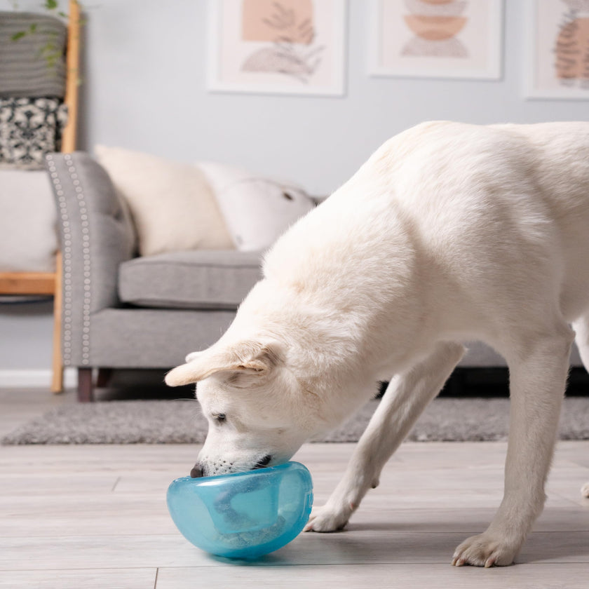 Planet Dog Orbee-Tuff Snoop Interactive Puzzle Dog Toy, Blue 🍁 All In One Marketplace Canada