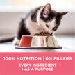 Purina ONE +Plus Dry Kitten Food, Healthy Kitten with Chicken 3kg 🍁 All In One Marketplace Canada
