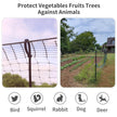 Bird Netting for Garden 7 x 100 Feet, Black Garden Protection Netting Heavy Duty Wire Mesh Net Barrier, Protect Plants Fruits Trees from Rodents Birds Deer Poultry Reusable Animal Fencing (1) 🍁 All In One Marketplace Canada