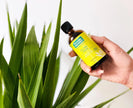 Thursday Plantation 100% Pure Tea Tree Oil - Ideal for Minor Cuts, Abrasions, Insect Bites, Stings, and Skin Irritations - Essential Oil - Versatile Oil for Home Use and Personal Care - 100ml size 🍁 All In One Marketplace Canada