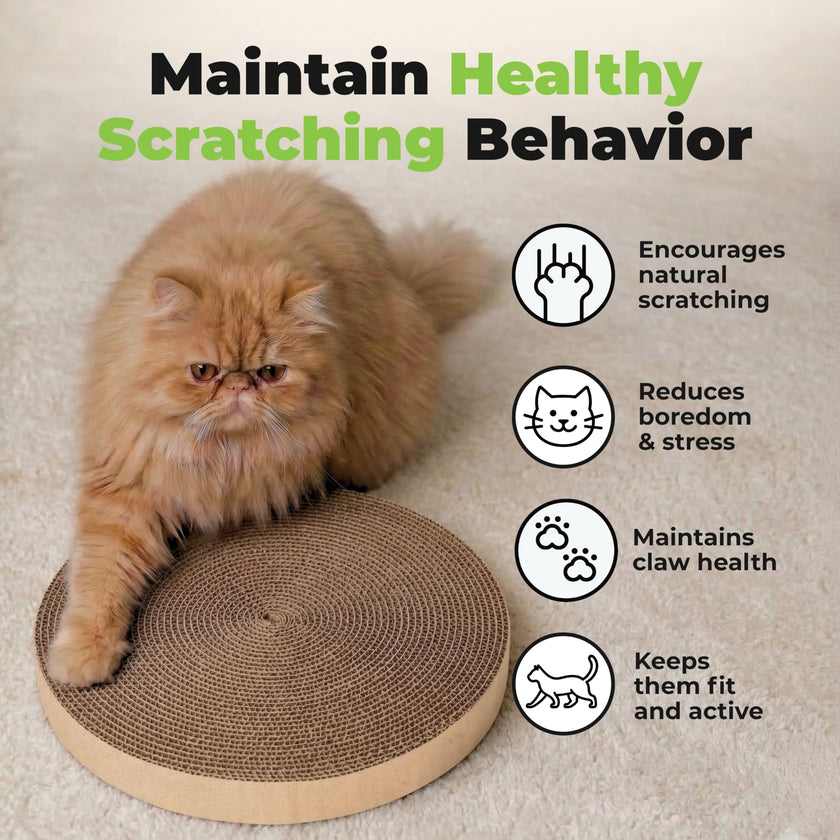 Best Pet Supplies Catify by Best Pet Supplies Spin and Scratch Replacement Pads (5 Pack) 🍁 All In One Marketplace Canada