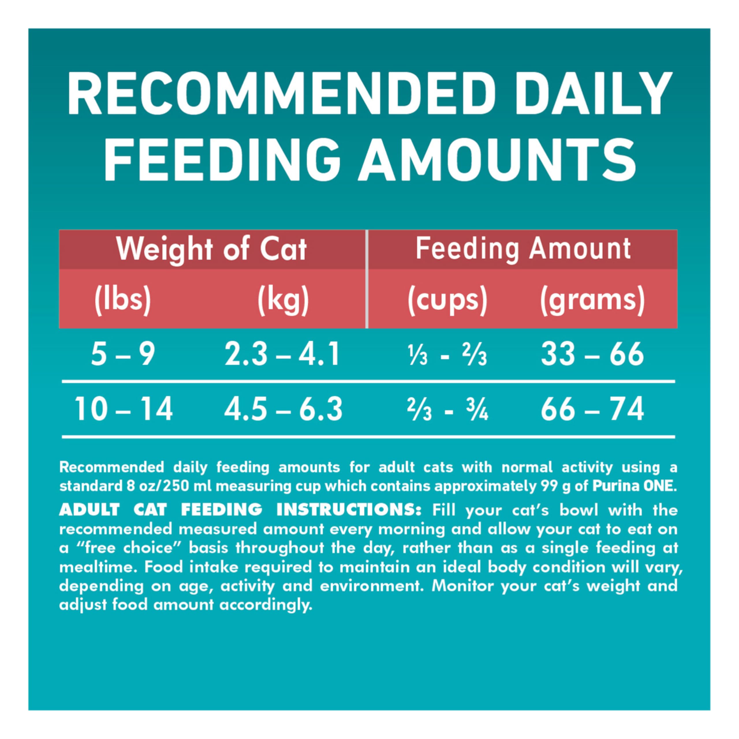Purina ONE Dry Cat Food, Salmon & Rice Formula - 7.2 kg Bag 🍁 All In One Marketplace Canada