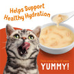 Friskies Lil' Soups Cat Treats, Fish-a-Licious 34g Cups (18 Pack x 2) 🍁 All In One Marketplace Canada