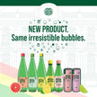 Maison Perrier Forever Peach, Sparkling Water Beverage, 24 x 330ml 🍁 All In One Marketplace Canada