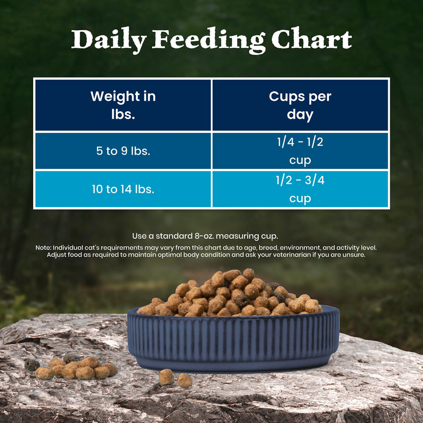 Blue Buffalo Wilderness with Salmon Natural High-Protein Grain-Free Dry Food for Adult Cats, Real Salmon First, Antioxidant-Rich LifeSource Bits Support Immunity, Promotes Strong Muscles, 2.2kg/5 lbs. 🍁 All In One Marketplace Canada