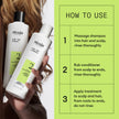 Nioxin Scalp + Hair Thickening System 2 - Hair Thickening System for Natural Hair with Progressed Thinning, Full Size (Packaging May Vary) 🍁 All In One Marketplace Canada