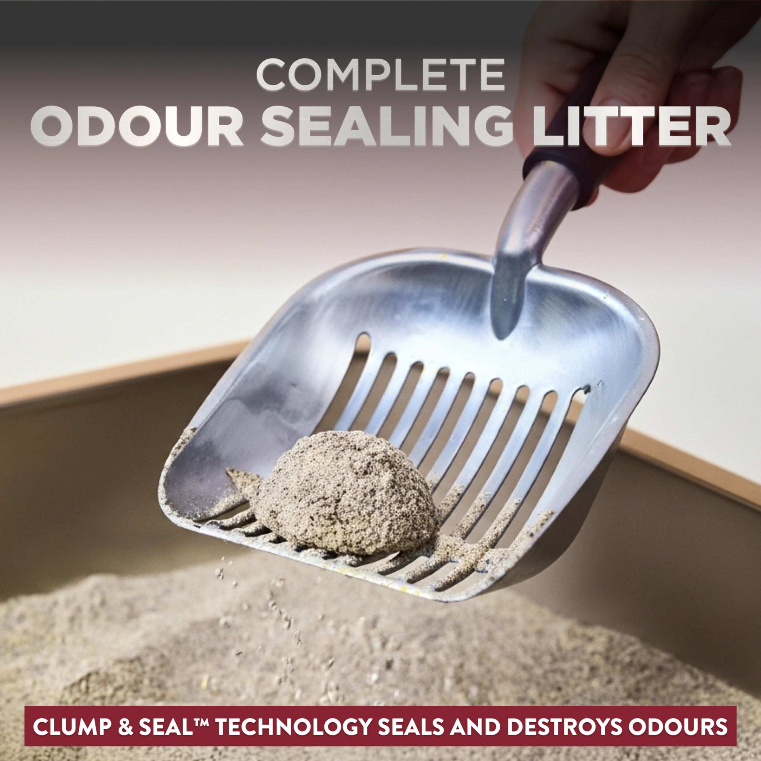 ARM & HAMMER Platinum Cat Litter Clump & Seal Complete Odour Sealing with 14 Days of Odour Control Multi-Cat, Hard Clumping Clay, 99.99% Dust Free 8.16kg (Pack of 1) 🍁 All In One Marketplace Canada