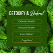 Sulforaphane Supplement from Broccoli Sprouts | 405mg Complex | NRF2 Activation With Glucoraphanin, Broccoli Seed Extract, & Mustard Seed | Supports Cellular Health with Antioxidants | 60 Capsules 🍁 All In One Marketplace Canada