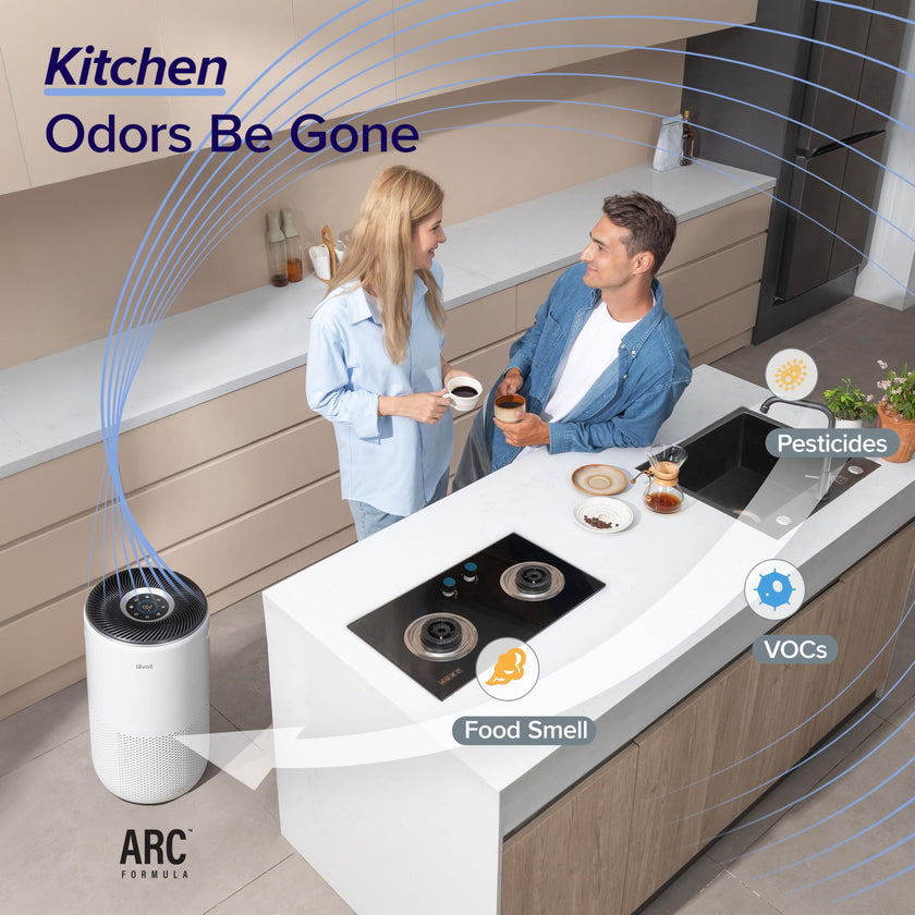 Levoit Smart Air Purifiers for Large Room Home Up to 1733 Ft², Core 400S-P 🍁 All In One Marketplace Canada