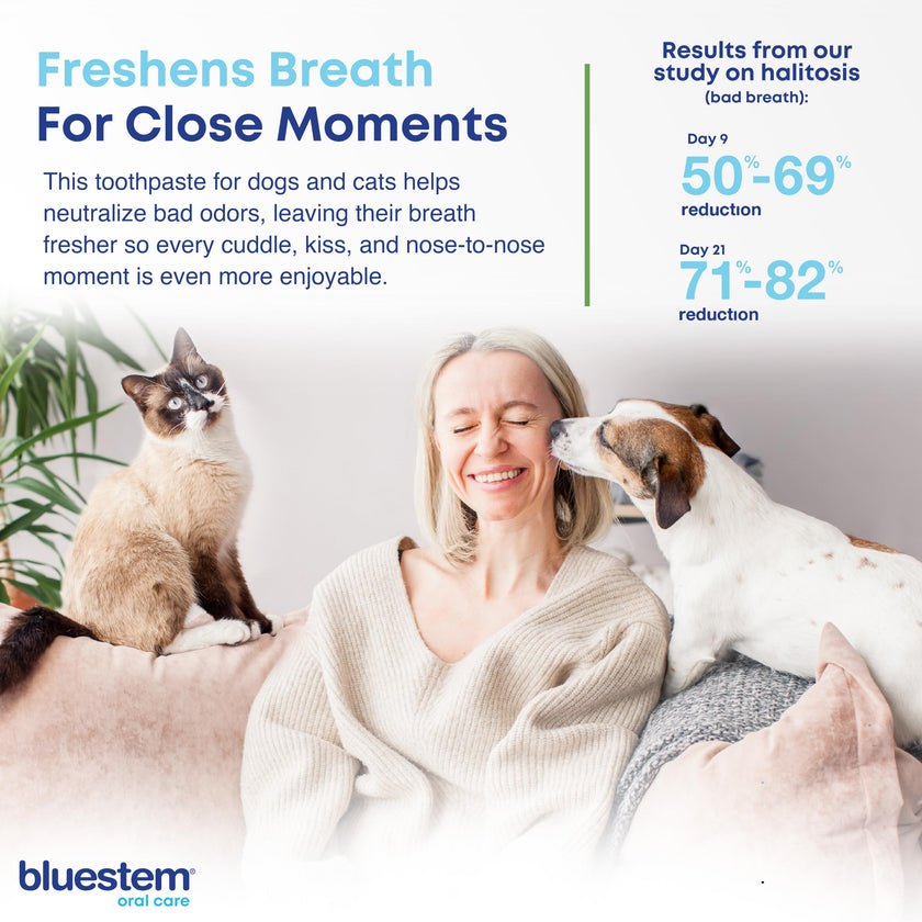 bluestem Cat and Dog Toothpaste – Scientifically Formulated Coactiv+ Pet Toothpaste Helps Reduce Plaque & Tartar, Freshens Breath, and Promotes Daily Dog and Cat Oral Care – Chicken Flavor (70g) 🍁 All In One Marketplace Canada