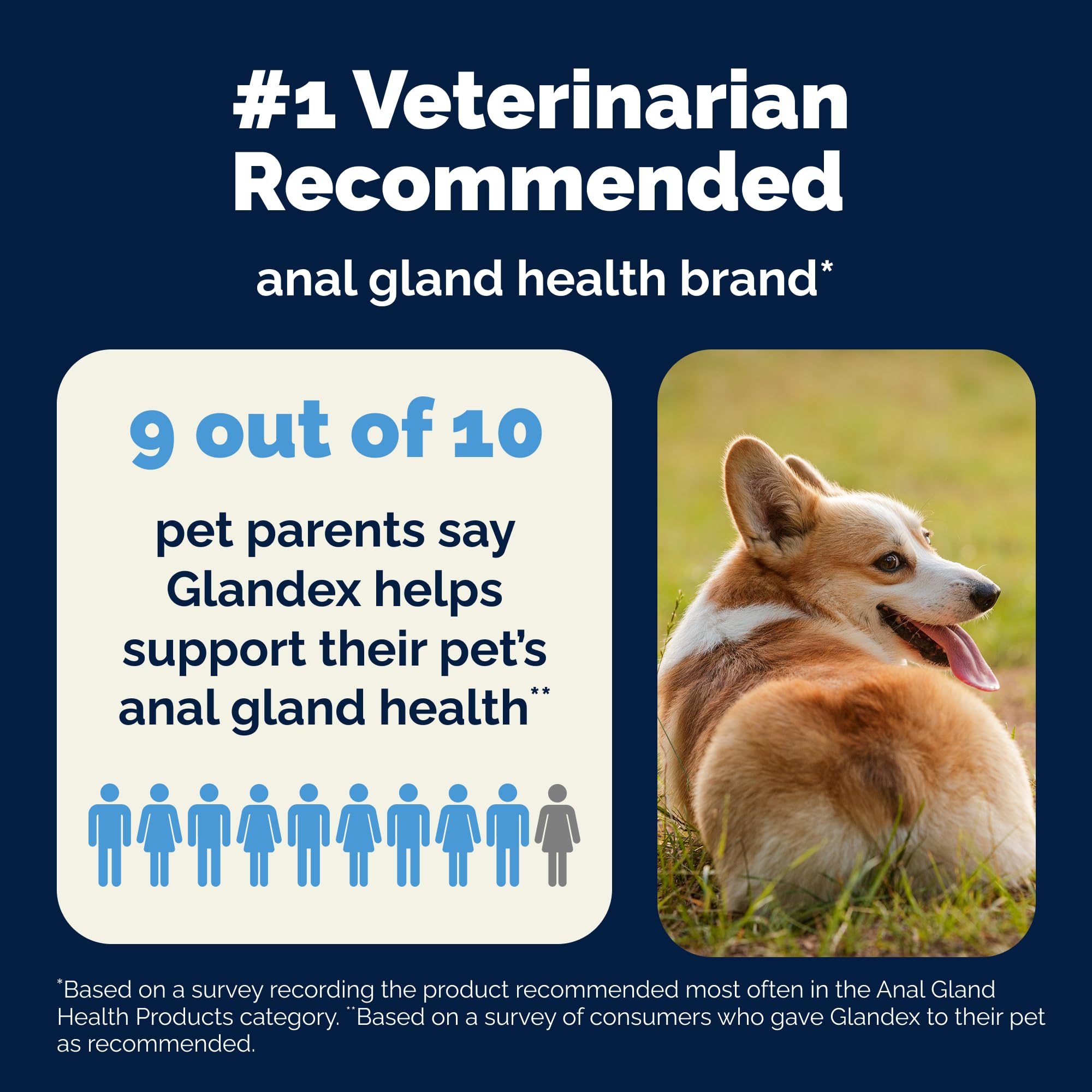 Vetnique Glandex Anal Gland Soft Chews for Dogs, Anal Gland Support, Boot The Scoot Fibre Supplement with Pumpkin, Unique Fiber Blend Probiotics & Digestive Enzymes (Peanut Butter, 60ct Chews) 🍁 All In One Marketplace Canada