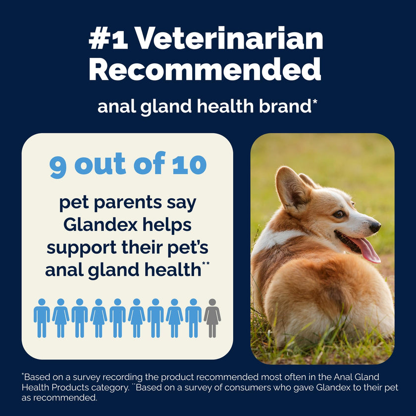 Vetnique Glandex Anal Gland Soft Chews for Dogs, Anal Gland Support, Boot The Scoot Fibre Supplement with Pumpkin, Unique Fiber Blend Probiotics & Digestive Enzymes (Peanut Butter, 60ct Chews) 🍁 All In One Marketplace Canada